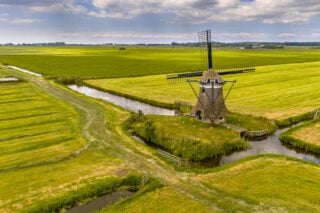 Old wooden windmill in green agricultural grassland in netherlands