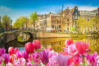 Pink tulips lining a canal in Amsterdam, one of the best places to live in Europe