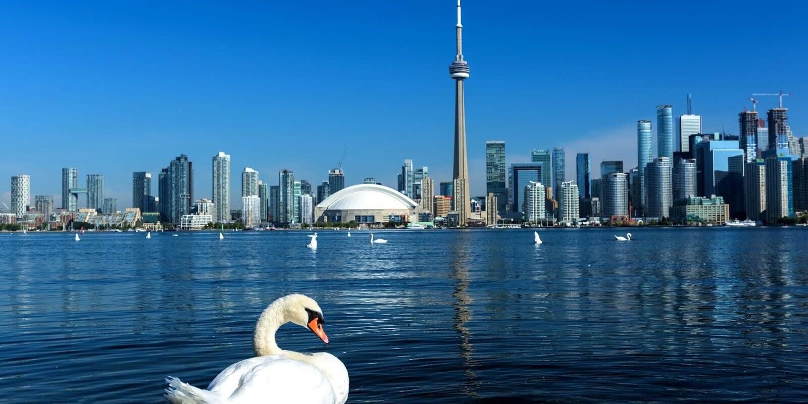 Toronto city skyline, Ontario, Canada, where you might not need an expat visa