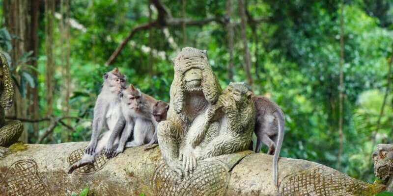 a group of long-tailed macaques sitting next to a monkey statue in the Sacred Monkey Forest Sanctuary in Ubud, which has a high cost of living in Indonesia